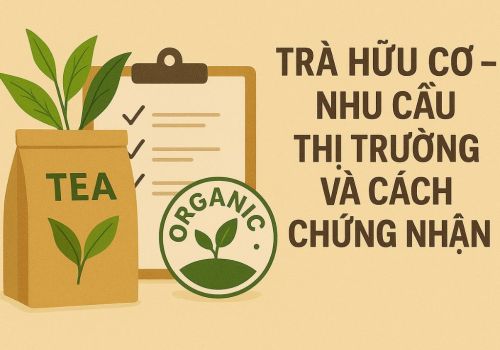 Trà Hữu Cơ – Nhu Cầu Thị Trường Và Cách Chứng Nhận
