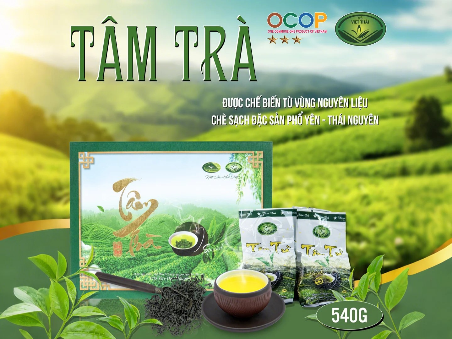tam-tra-cao-cap