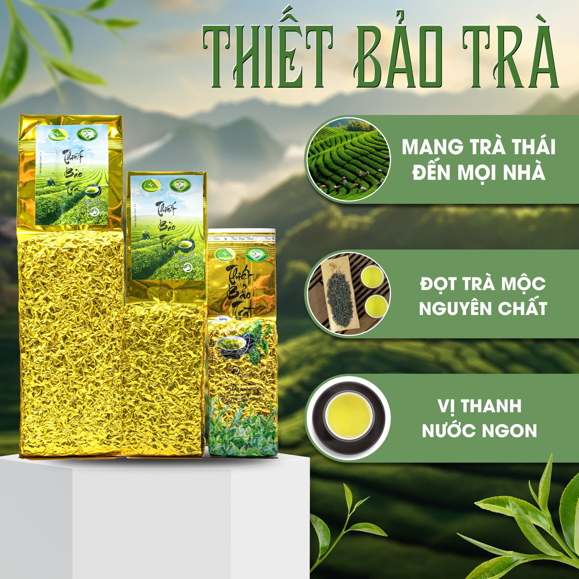 thiet-bao-tra